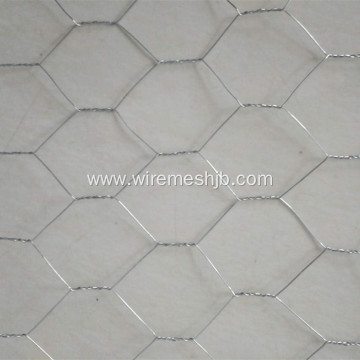 Hot-dip Galvanized Hexagonal Wire Netting